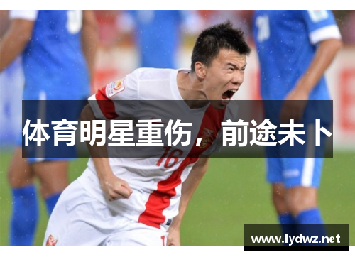 体育明星重伤，前途未卜